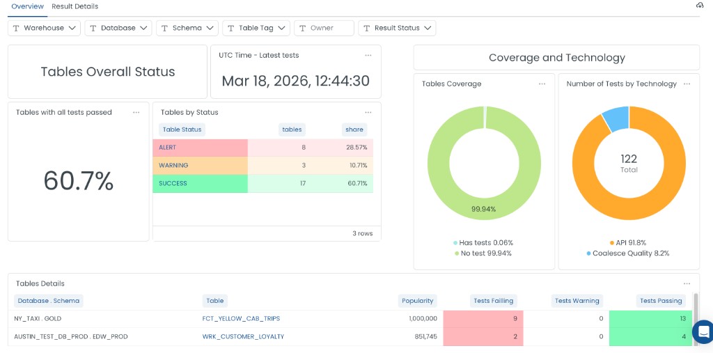 Data Quality Dashboard Overview tab with summary metrics, coverage charts, and table details.