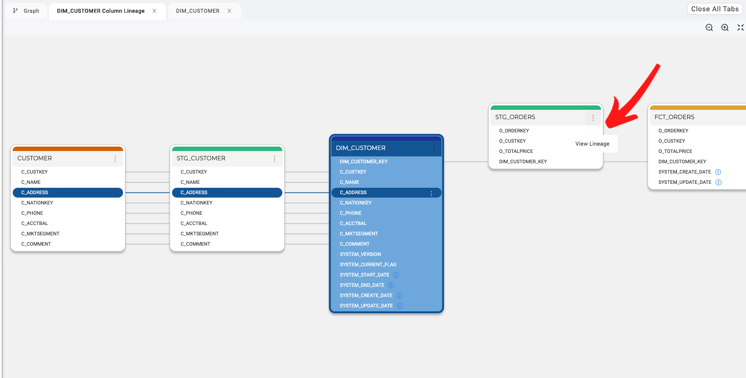 Viewing the lineage on different nodes