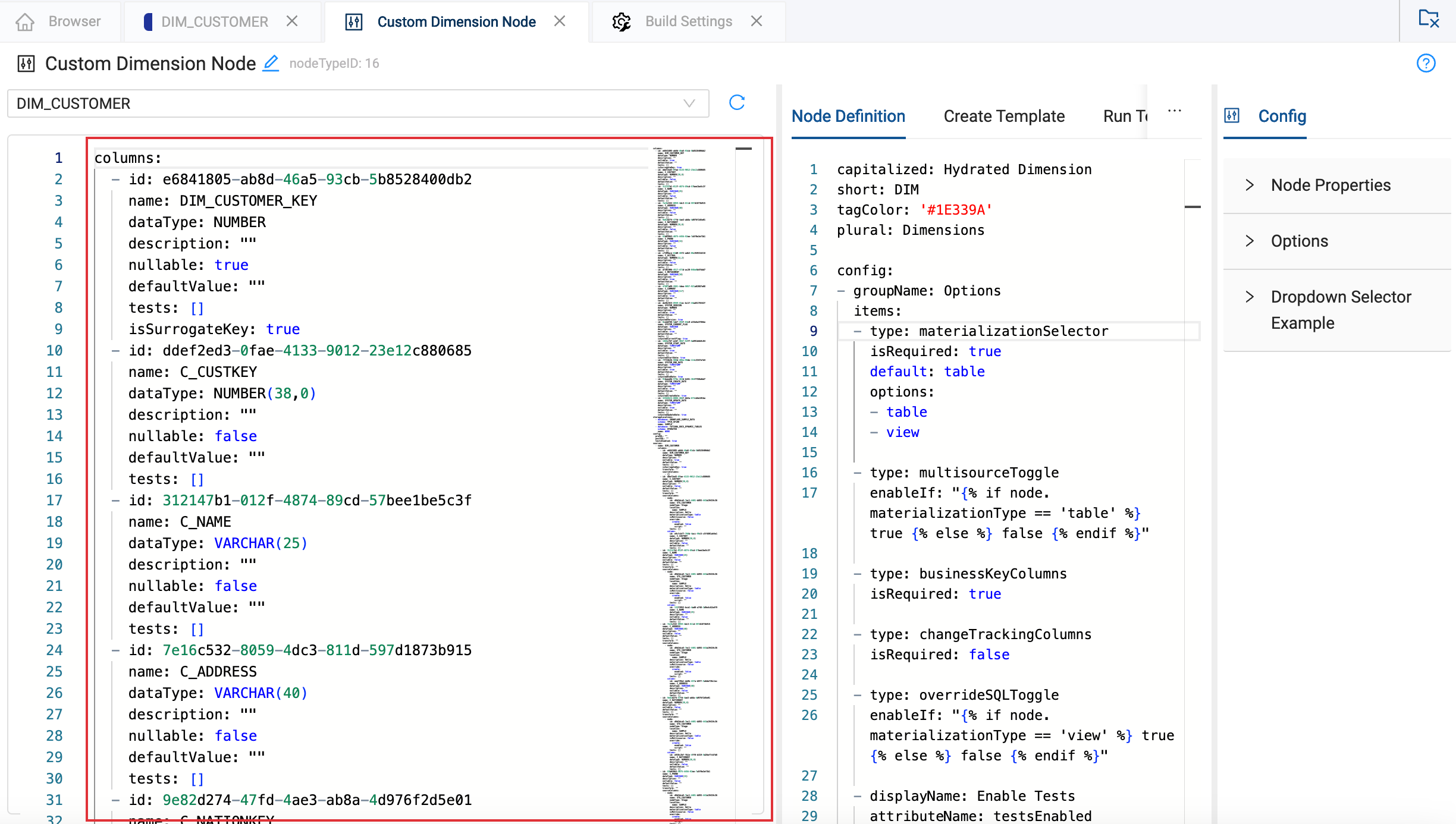 Split view of Node Type Editor showing detailed column definitions and node settings with properties and options panels