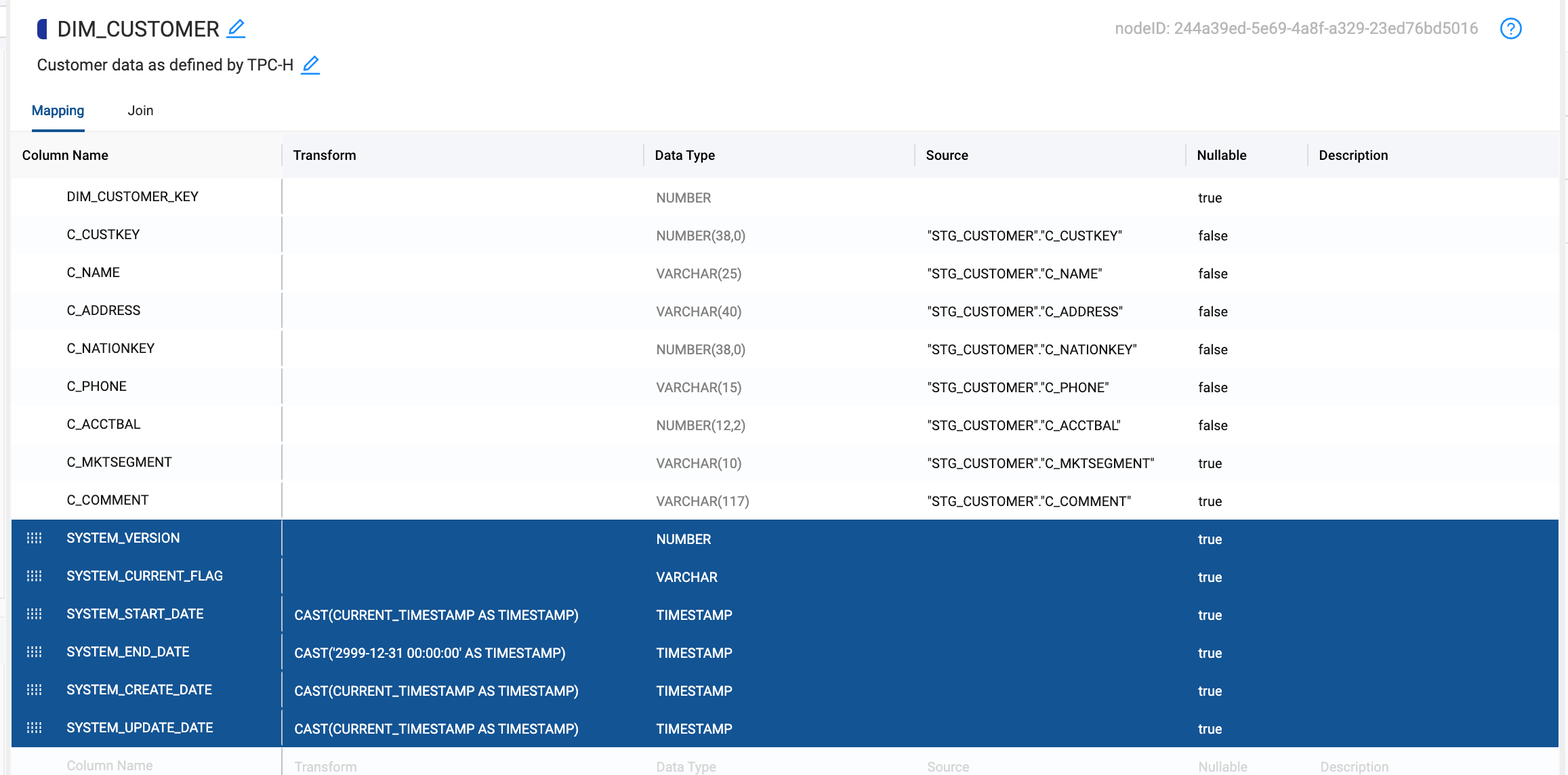 Database table mapping view for DIM_CUSTOMER showing customer fields and system tracking columns with data types and nullability settings