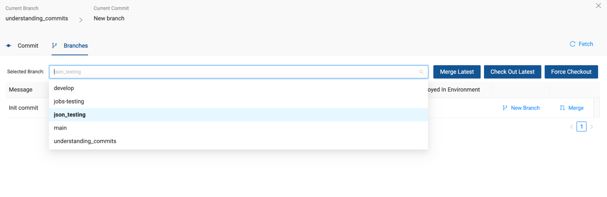 To select a different branch for checkout, choose from the drop-down.