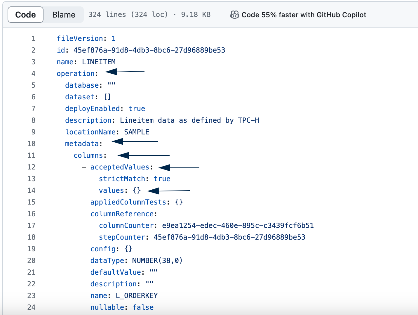 The image displays a YAML file focusing on the LINEITEM node, where several fields are highlighted. The operation field shows the dataset set as an empty array, which should be a string. The metadata field highlights the acceptedValues under columns, where the values field is set as an empty object, which should be an array. These issues correspond to the validation errors previously shown.